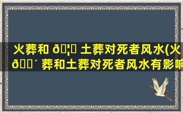 火葬和 🦊 土葬对死者风水(火 🐴 葬和土葬对死者风水有影响吗)